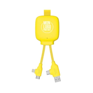 PowerBank